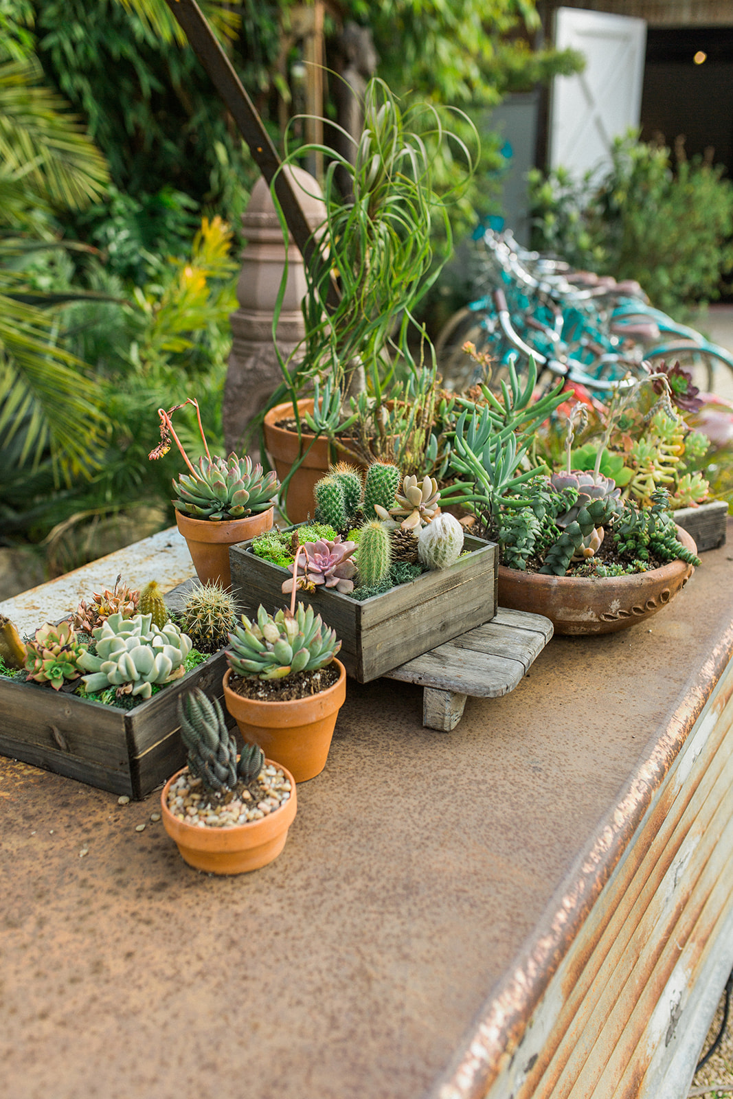 Rustic wedding decor with succulents on a metal bar